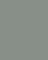 Stone Grey - SeceuroGlide Sectional Colour 